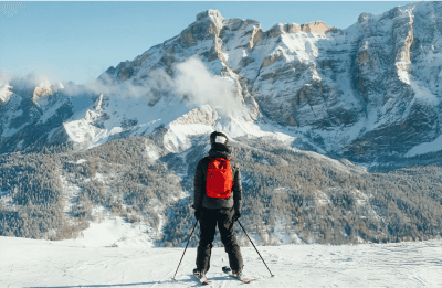 Esempio di ingranditore di immagini 3